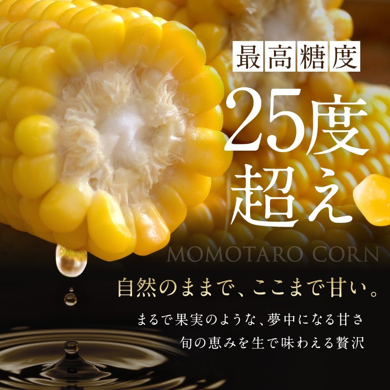 まるで果実のような、夢中になる甘さ 旬の恵みを生で味わえる贅沢