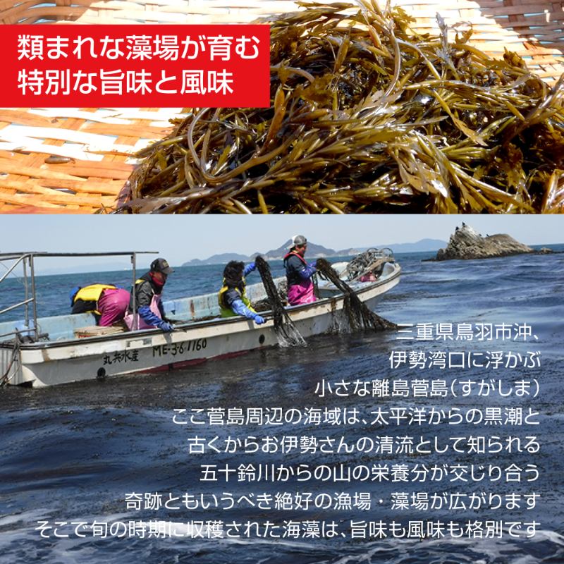 産地直送 伊勢志摩産 きさみあかもく 無添加