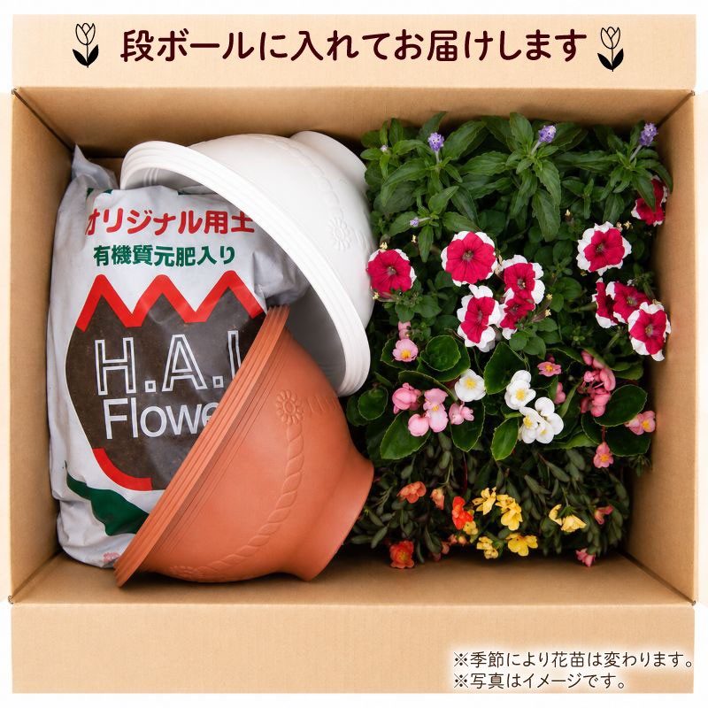 ※写真はイメージです。