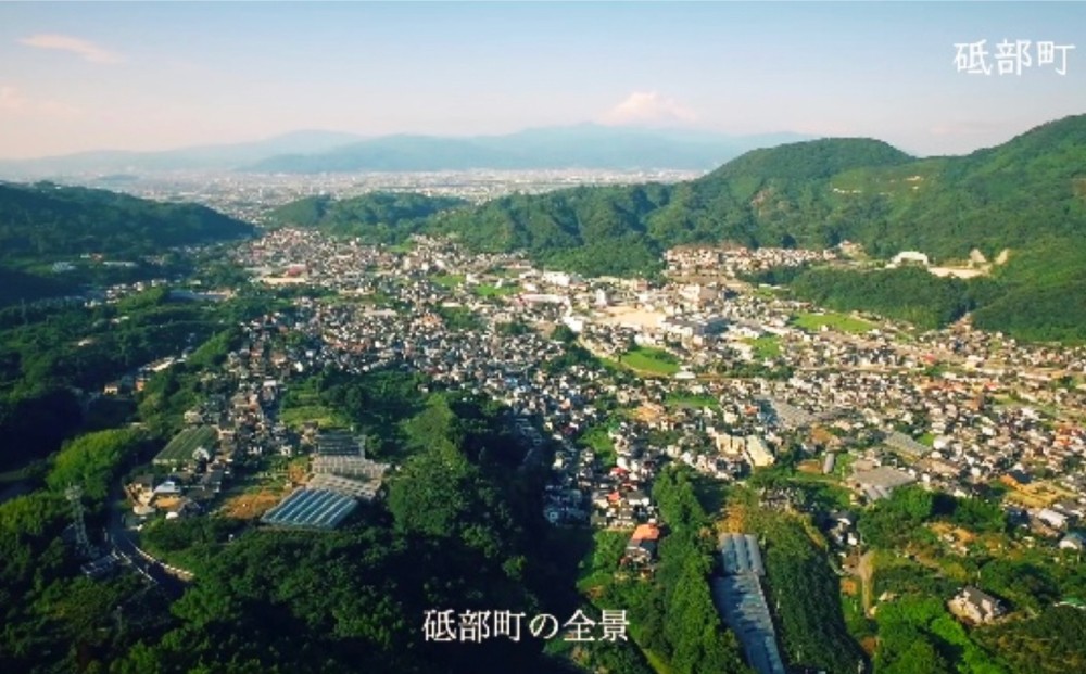 写真