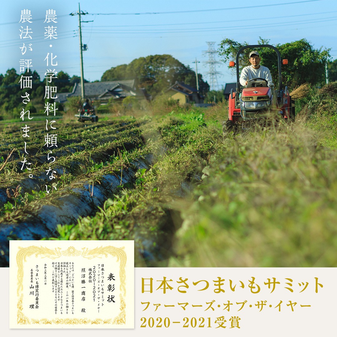 写真