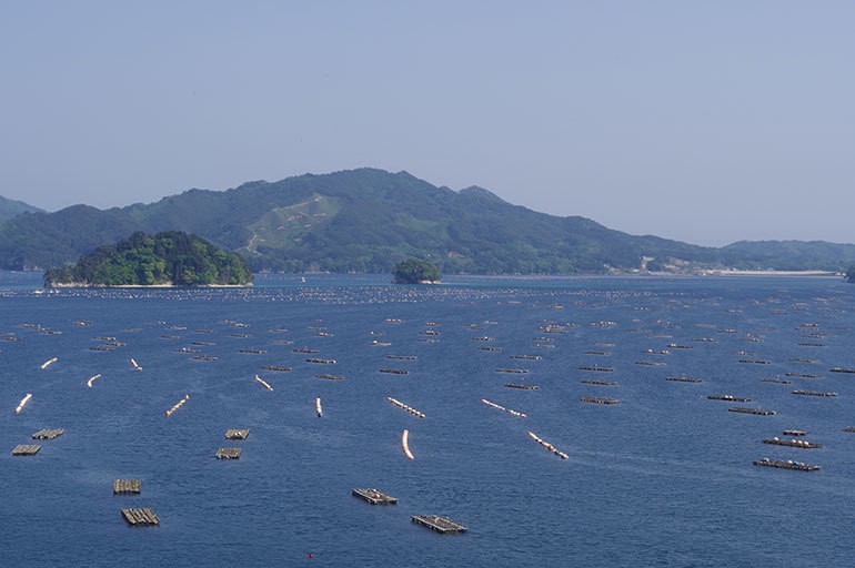 穏やかで豊かな山田湾