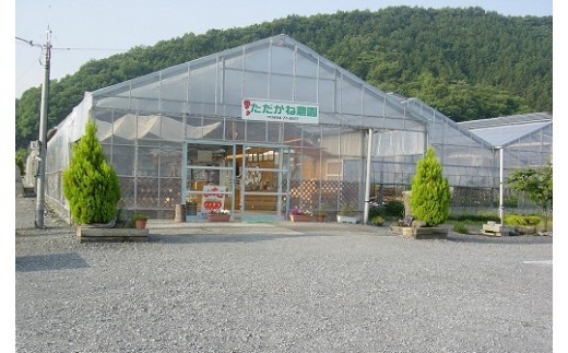 店舗