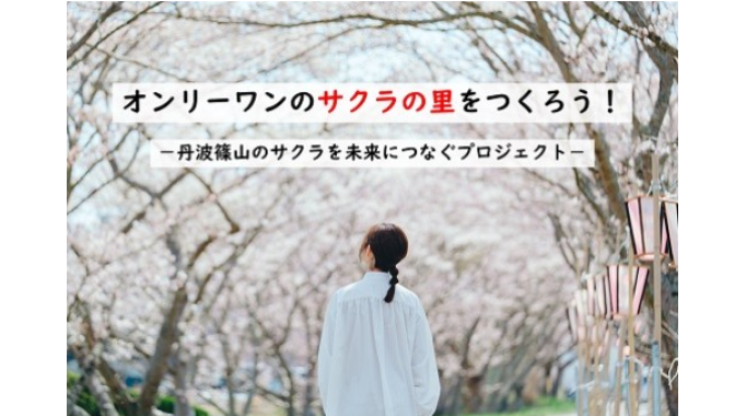 オンリーワンのサクラの里をつくろう！丹波篠山のサクラを未来につなぐプロジェクト