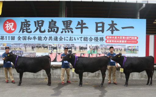 日本一の鹿児島黒牛を維持するために！