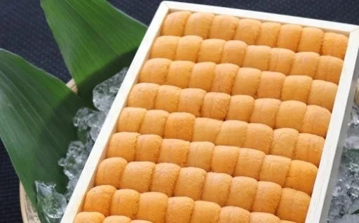 ウニ資源を増やそう！