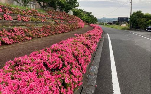身近な道を　大切に！