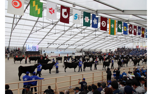 第12回全国和牛能力共進会で鹿児島黒牛は全9部門のうち6部門で1位を獲得しました！