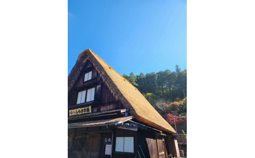 【令和５年度】GCFで集まった寄付金を活用し 、下呂温泉合掌村「しらさぎ座」の茅葺き屋根の改修を行いました。