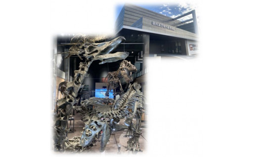 恐竜の島博物館整備事業