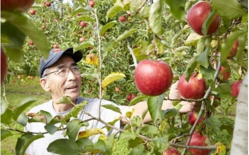 美味しい果物をお届けするために！苗木の植替え補助代にふるさと納税を活用させていただいております。