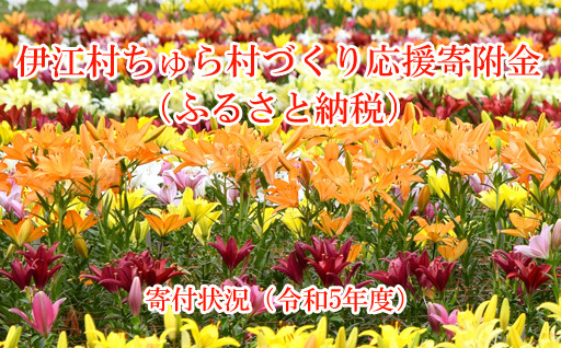 伊江村ちゅら村づくり応援寄附金（ふるさと納税）　/　寄付状況（令和５年度）