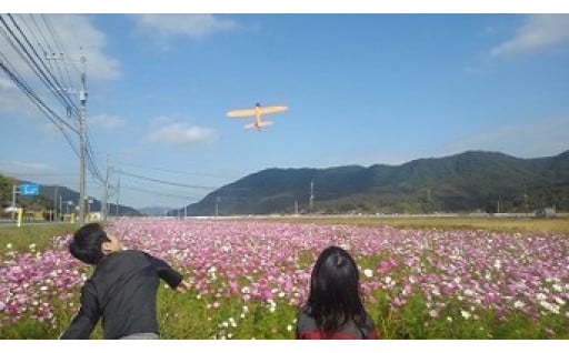 フォトコンテスト