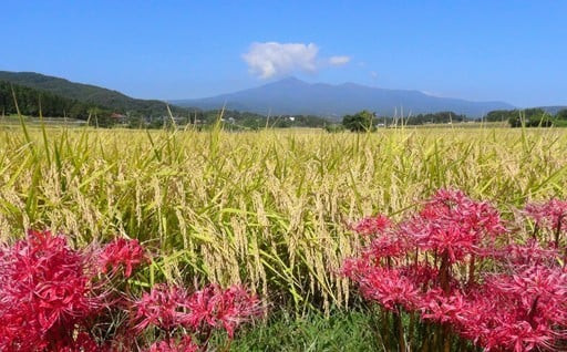 自然環境にやさしい村づくり