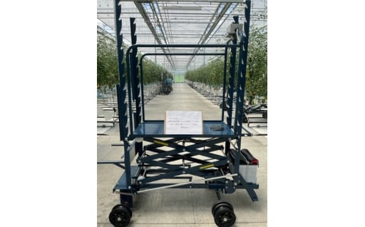 「市におまかせ」農業生産振興ブランド戦略プラン推進事業