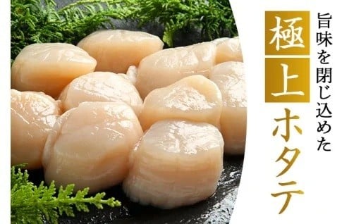 根室のホタテを全国へ