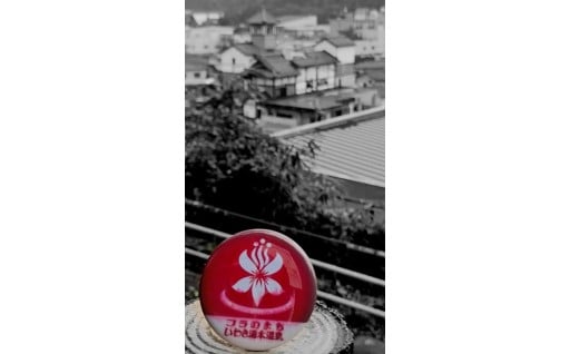 観光地魅力アップ事業費補助金