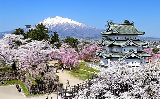令和6年度に皆様からいただいたご寄付について報告いたします。