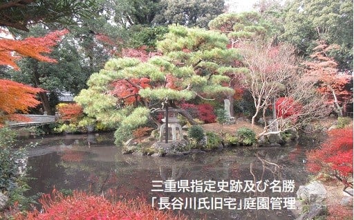 ⑤令和6年度活用実績を報告します!~人と地域の頑張る力~ 文化振興・人権尊重等