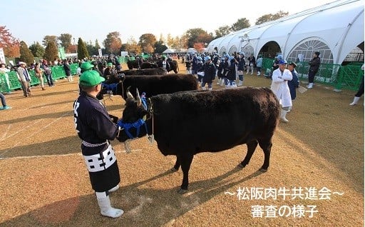令和6年度活用実績を報告します! ①~活力ある産業~ 農林水産・観光振興等