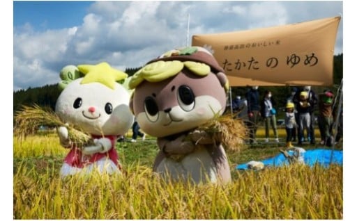 いただいたご寄附を地域ブランド米「【たかたのゆめ】普及推進事業費」に活用しております。