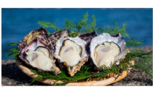 特産品の生産振興及び販路拡大