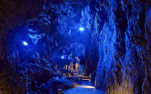 令和６年度ふるさと納税寄附金活用実績