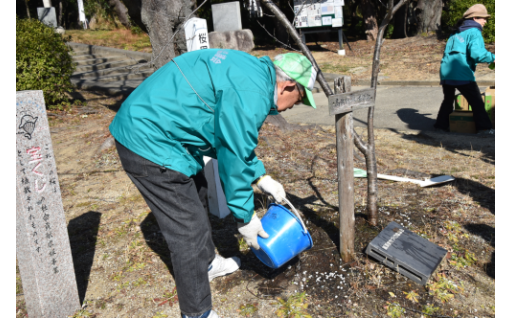 桜の木を植樹しました