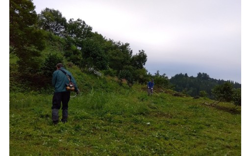 【令和６年度寄附金活用報告】文化財保存事業