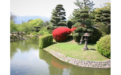 小城市ふるさと納税　「小城公園維持管理事業」活用のご報㉒