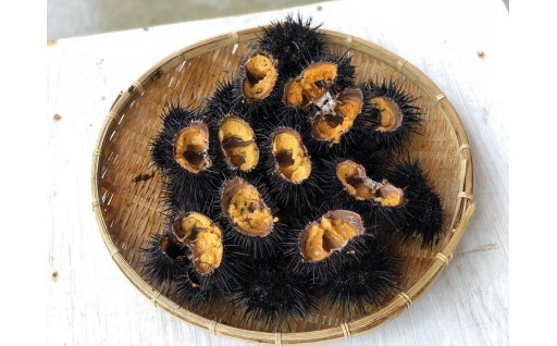 寄付金を活用して、磯資源（うにやあわび）を増やす取り組みを行っています。