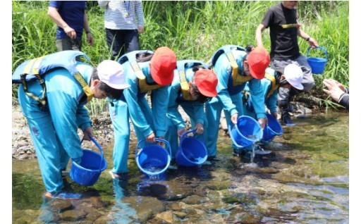 アユ・イワナ・ヤマメの稚魚の放流事業に寄附金を活用させていただきました