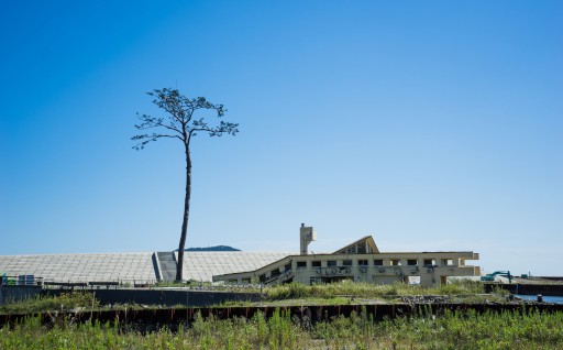 本年も陸前高田市をよろしくお願いいたします！