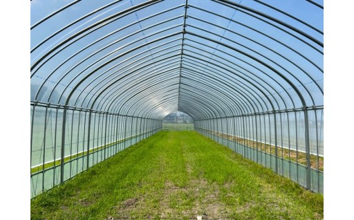 「市におまかせ」農業生産振興ブランド戦略プラン推進事業