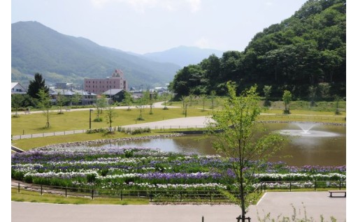 令和6年度(2024年度)実績と使い道について