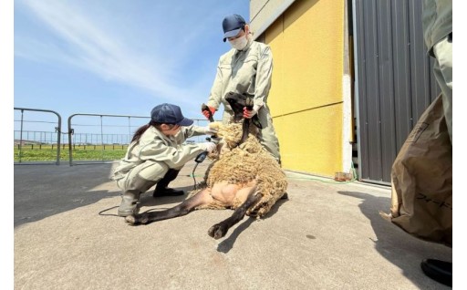 遠別農業高等学校　活性化への取組み