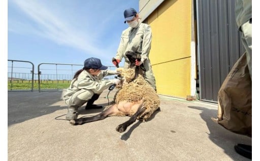 遠別農業高等学校　活性化への取り組み