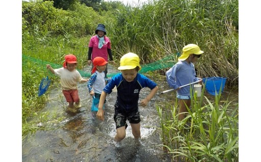 小城市ふるさと納税　「子どものための教育・保育給付事業」活用のご報告①
