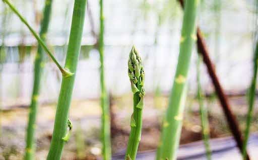 豊かな産地づくり総合支援事業（R5）に活用させていただきました