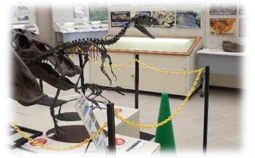 令和6年度ふるさと応援寄附金活用事業：恐竜の島博物館振興事業