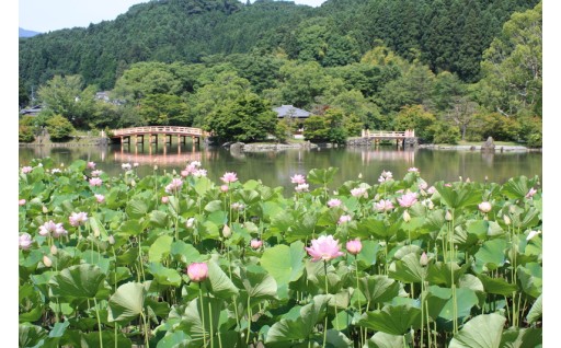 「文化・スポーツを核とした地域ブランディング」地域で守る文化財事業