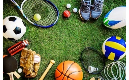 ルーピン各種大会及びスポーツ協会等助成事業