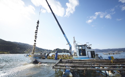 いただいたご寄附で漁業の未来を担う後継者支援を行っております！