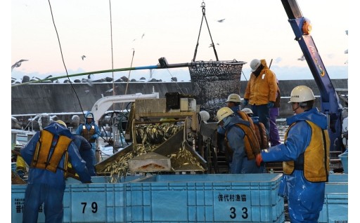 ピンチに負けない水産業！担い手の確保に寄付金を活用しています！