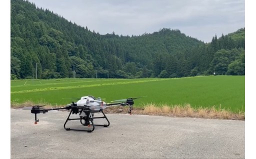 「市におまかせ」農業生産振興ブランド戦略プラン推進事業