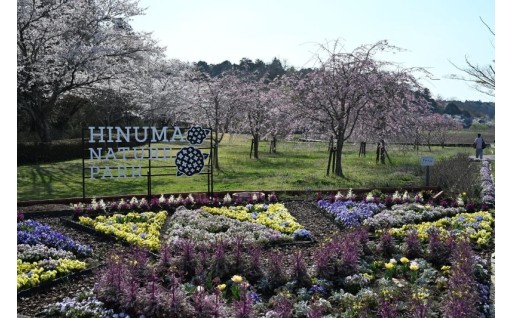 町立公園管理運営事業