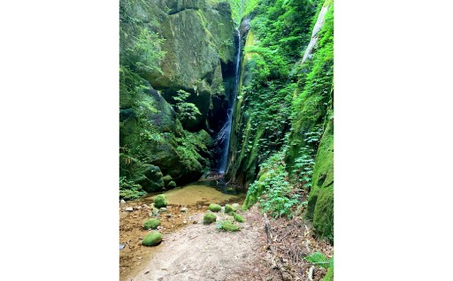 玉峰山森林公園の管理