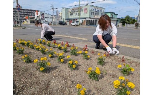 市民花壇づくり支援花株助成事業