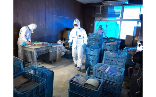 令和2年7月豪雨で被災した八代市西部文化財収蔵施設の水損資料群の保存処理を進めています。
