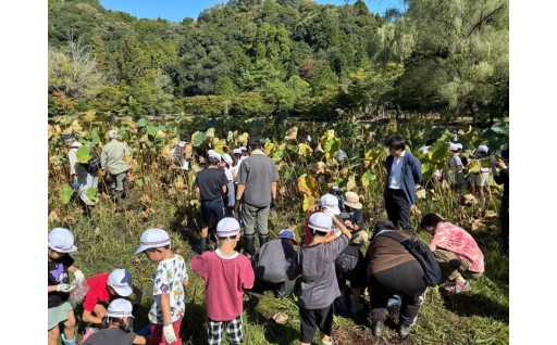広く文化財に触れる機会を通じて郷土愛を醸成します